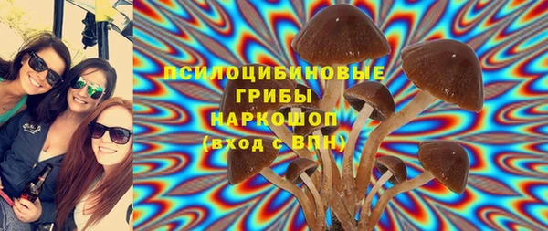 метамфетамин Богданович