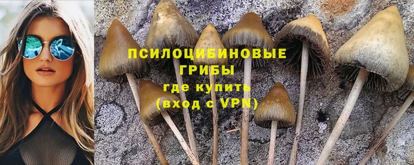 наркотики Богородицк