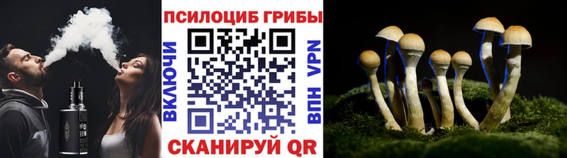 Купить закладки  Кодинск  Псилоцибиновые грибы прущие грибы 